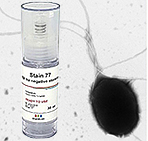 TEM supplies: EM Stain 77, non-toxic staining solution for negative staining